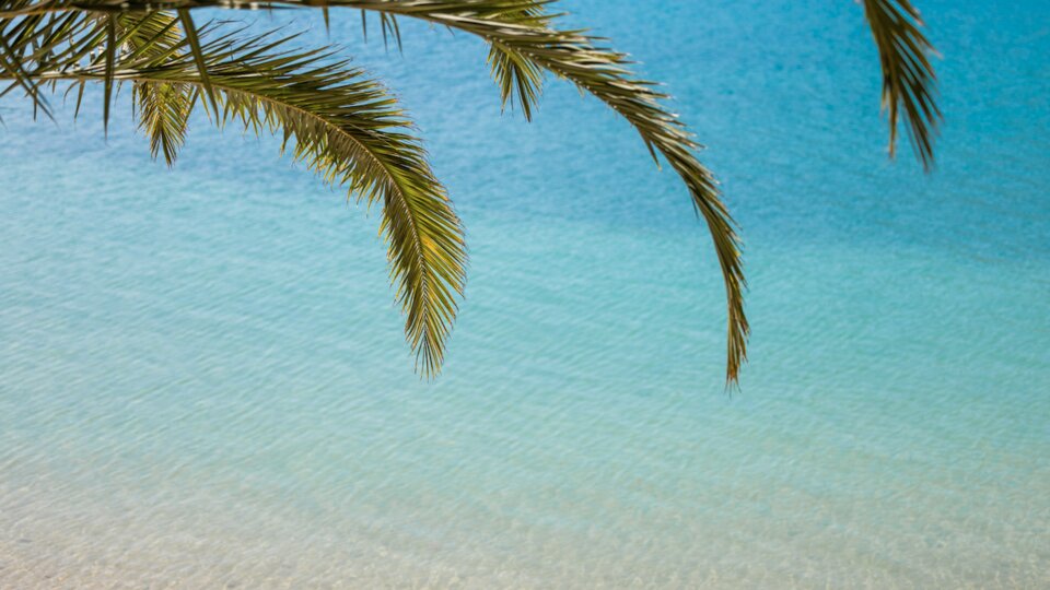 Plataria Seaside Resort 50