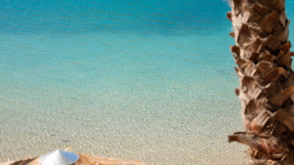 Plataria Seaside Resort 49
