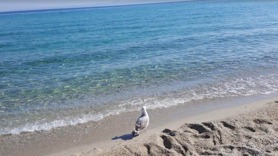 Al Mare 10